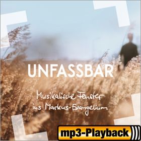 Unfassbar (Playback ohne Backings)